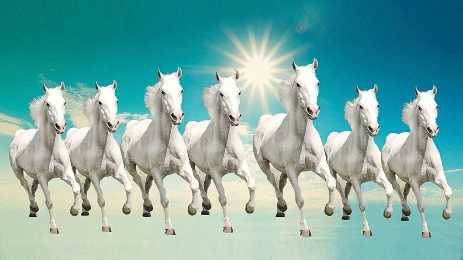 Main Banner Image 4